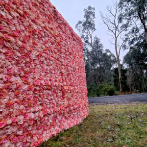 flowerwall hire